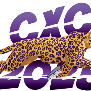 Fundraising Page: Lillian Lagarde